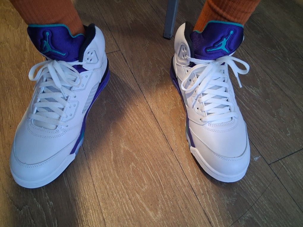 Air Jordan 5 Grape Size 11