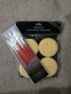 Brush set and sponges