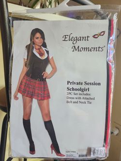 Adult Schoolgirl Costume