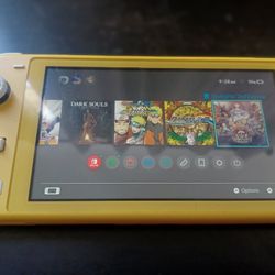 Nintendo Switch Lite 