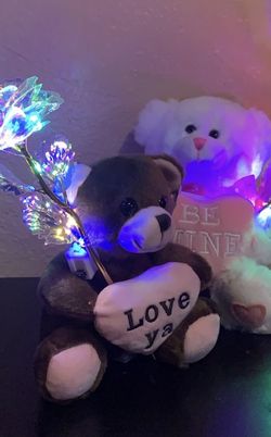 6” & 8” Cuddly Teddy Bears