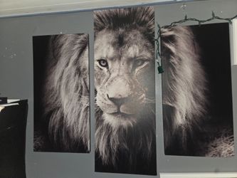 Lion canvas