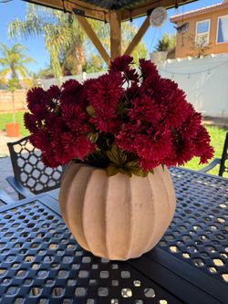 **TERRACOTTA PLANTER ONLY**