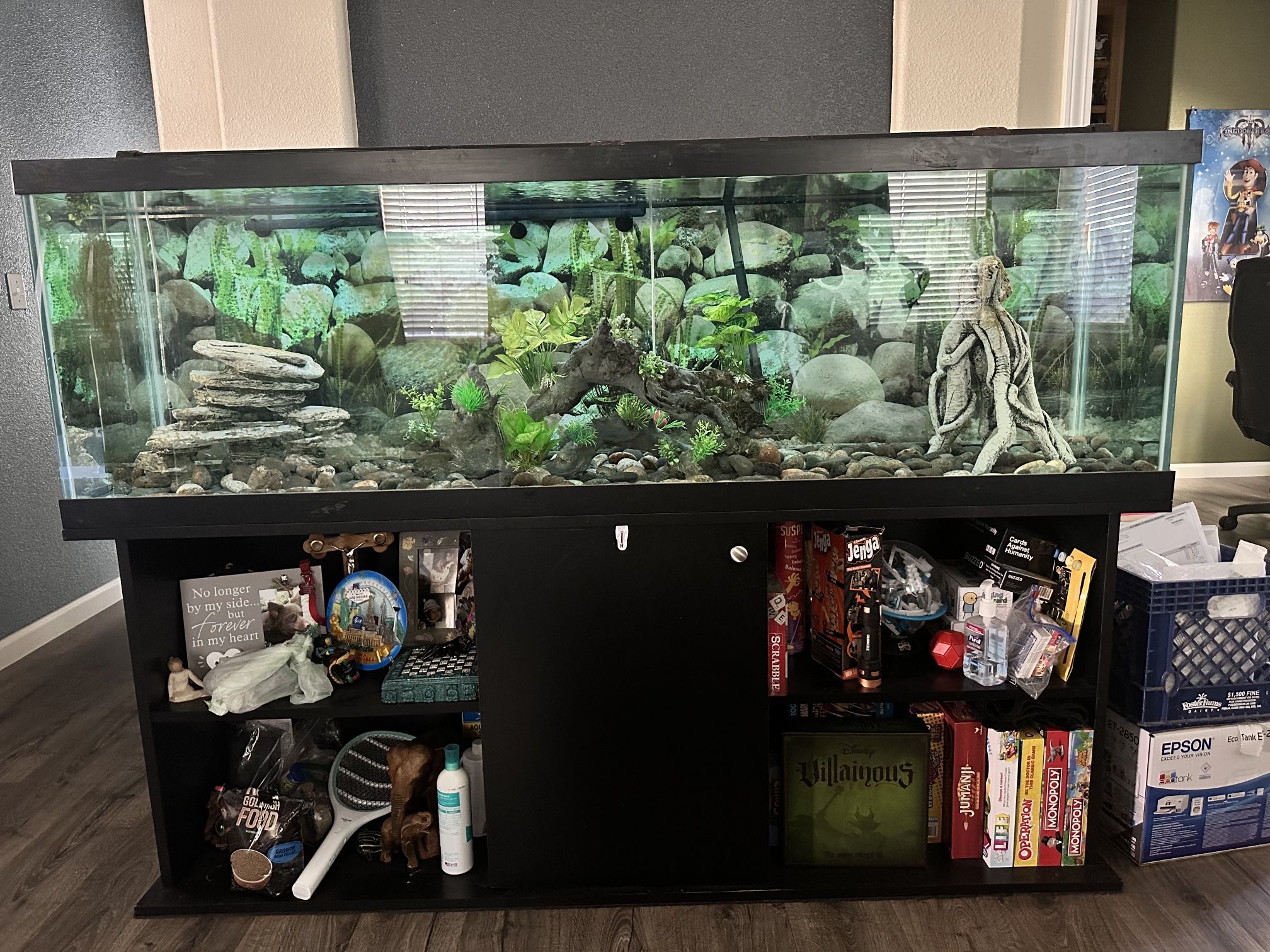 125 Gallon Tank For Sale With All Aquarium Supplies 