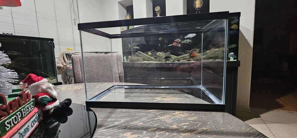 🦐 10 Gallon Fish Tank – Great Condition! 🐠
