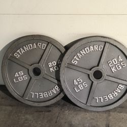 45 Lb Plate Set