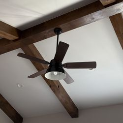 Hunter Douglas Ceiling Fan