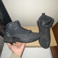 Winterized Jordan 12 (SZ 10)