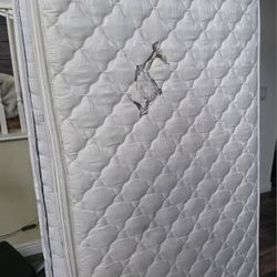 2 Twin Mattresses