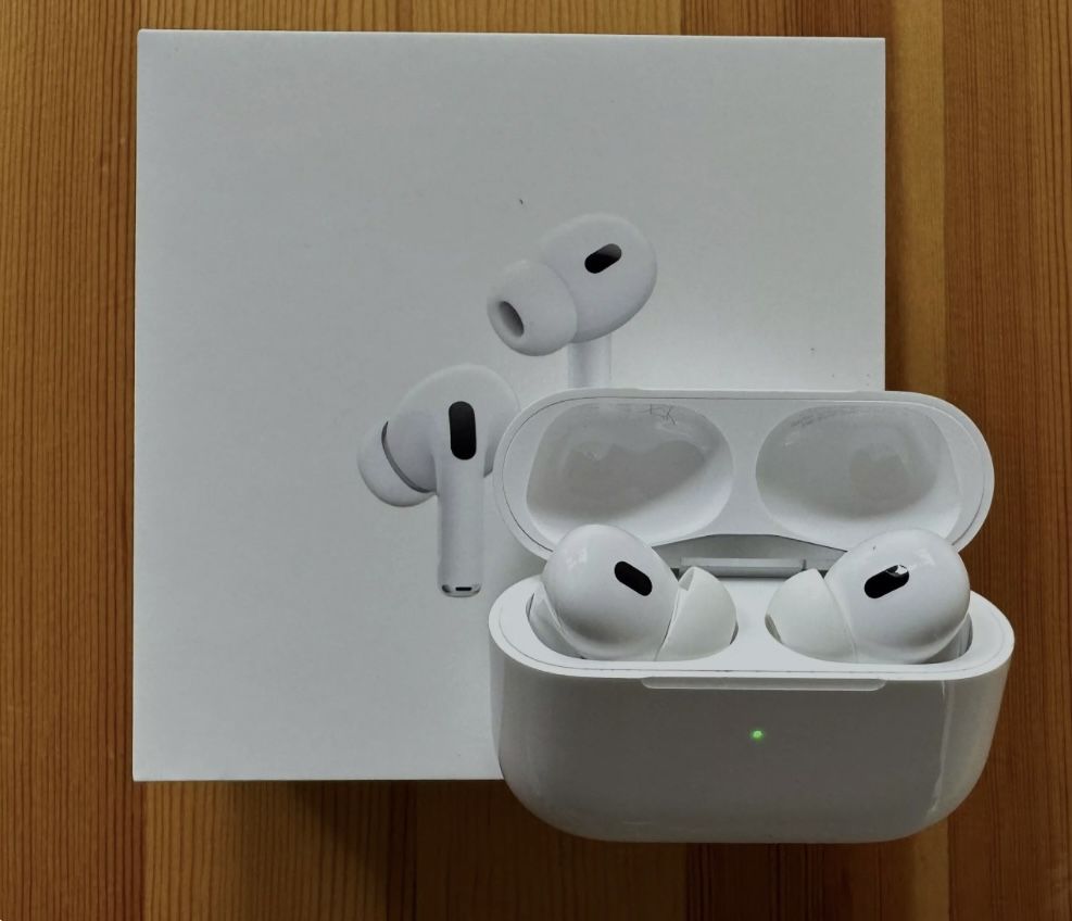 Earphones