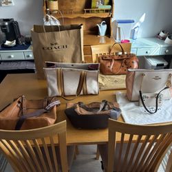 Coach Patricia Nash The Sak Purse Bundle