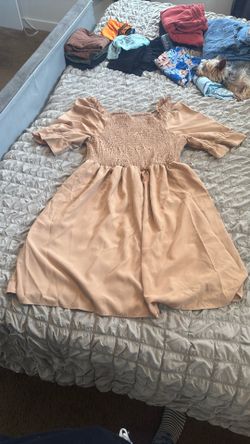 Shein Curve
