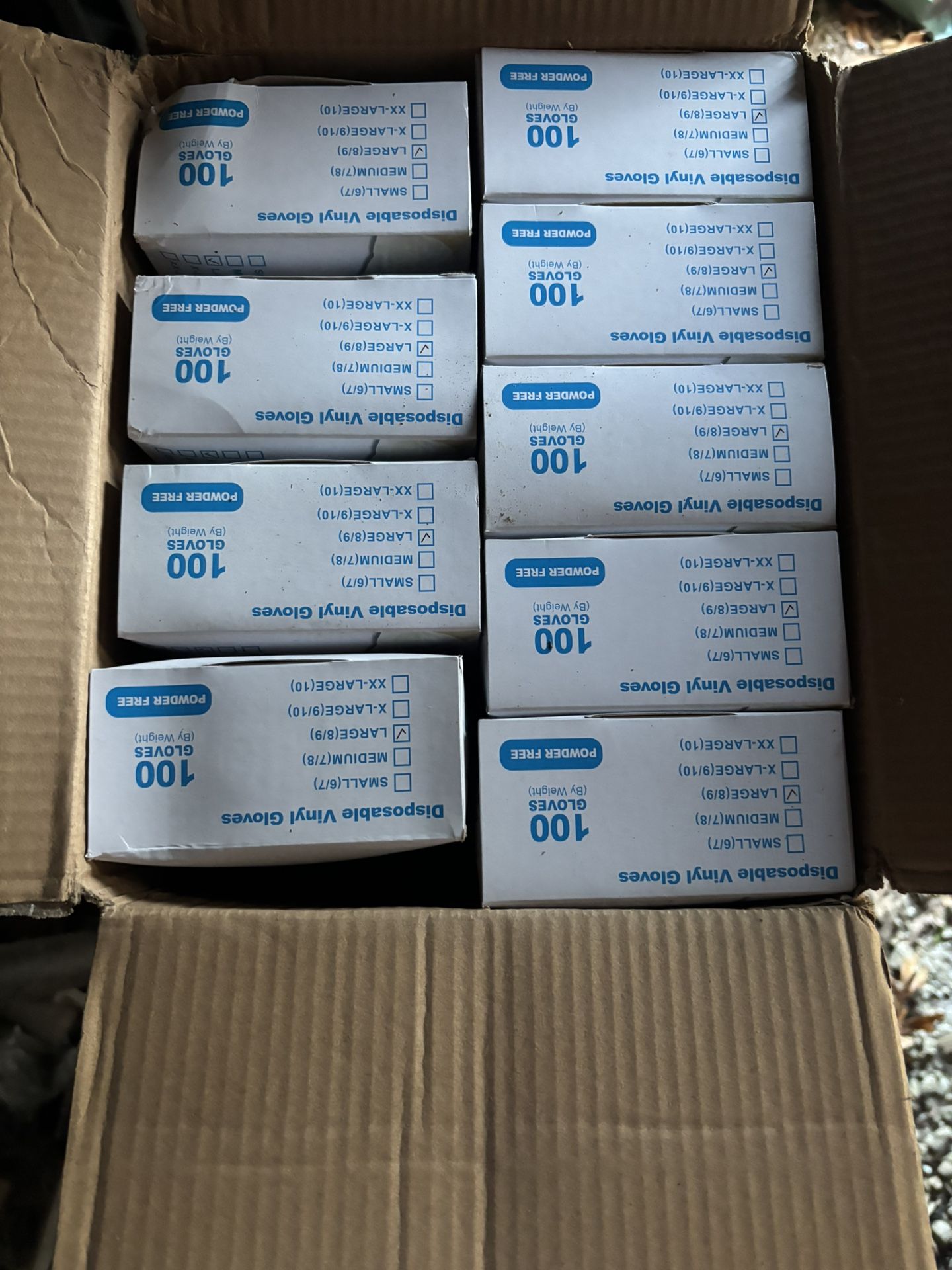 Disposable (Powered Free) Gloves 