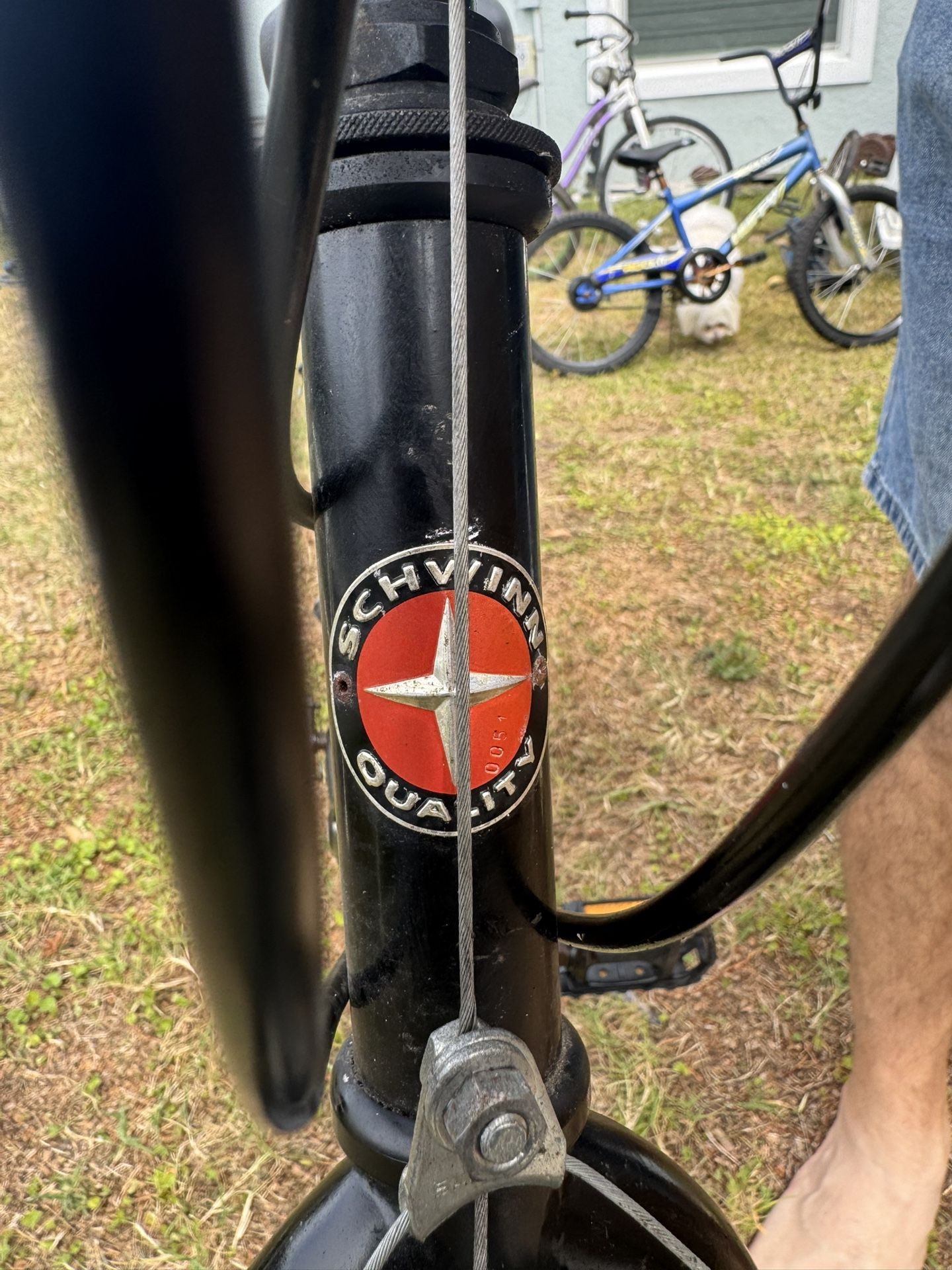 Schwinn Woodlands Bicycle