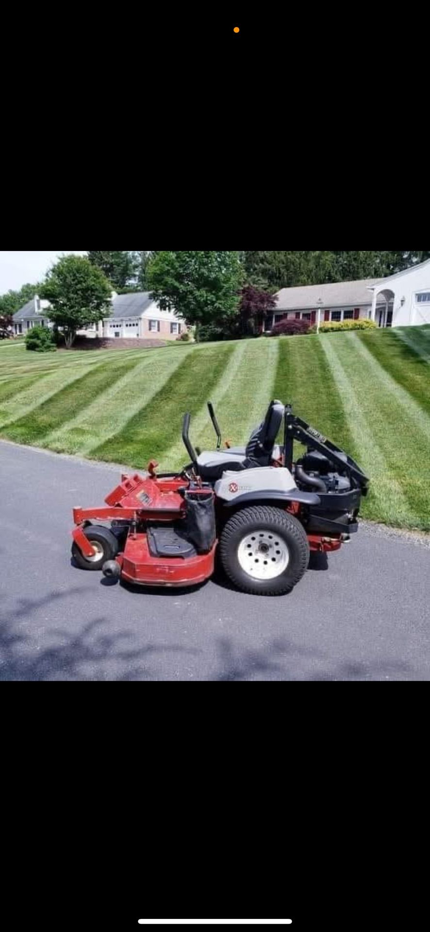 Grass Cutting - Profesional