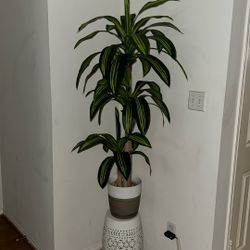 Artificial Dracaena Tree, 5ft Tall Fake Dracaena Plant with Basket, Indoor Outdoor Faux Topiary Yucca Trees for Office Home Living Room Porch Patio Dé