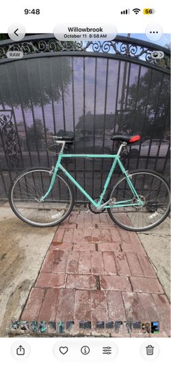 Schwinn traveler