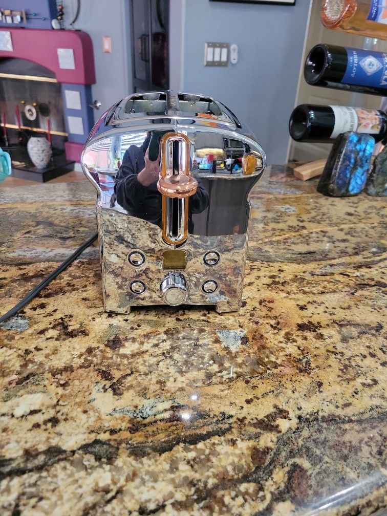 Michael Graves 2 Slice Toaster in Chrome Finish