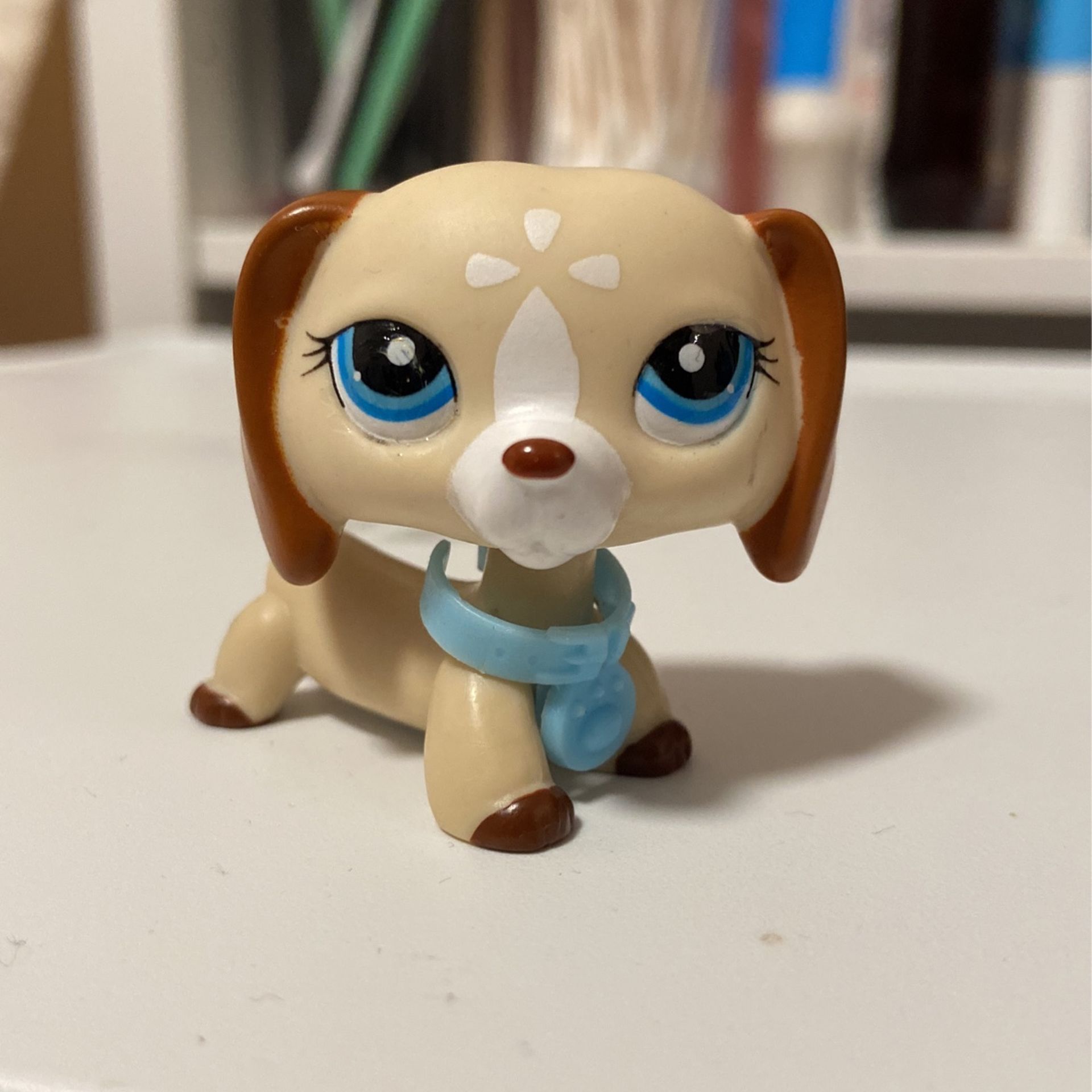 Rare littlest petshop n 1491 chien teckel - Jeux & Jouets