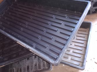 Mondi Trays 