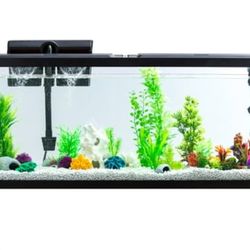 Aqua Culture 55-Gallon Glass Aquarium Starter Kit