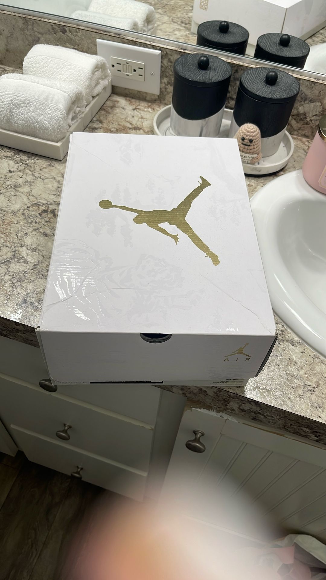 Air Jordan 6 Retro Low GC