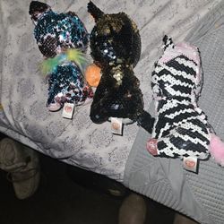 Sequince Cat Ty S  Bundle