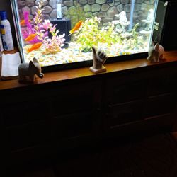 30 Gallon Fish Tank Fullter Pump Fish 100 $
