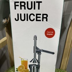 Fruit Juicer 