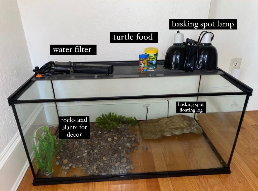 Aquarium/terrarium tank
