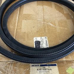 Ford Ranger Door Weather Strip OEM