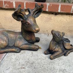 Home And Garden