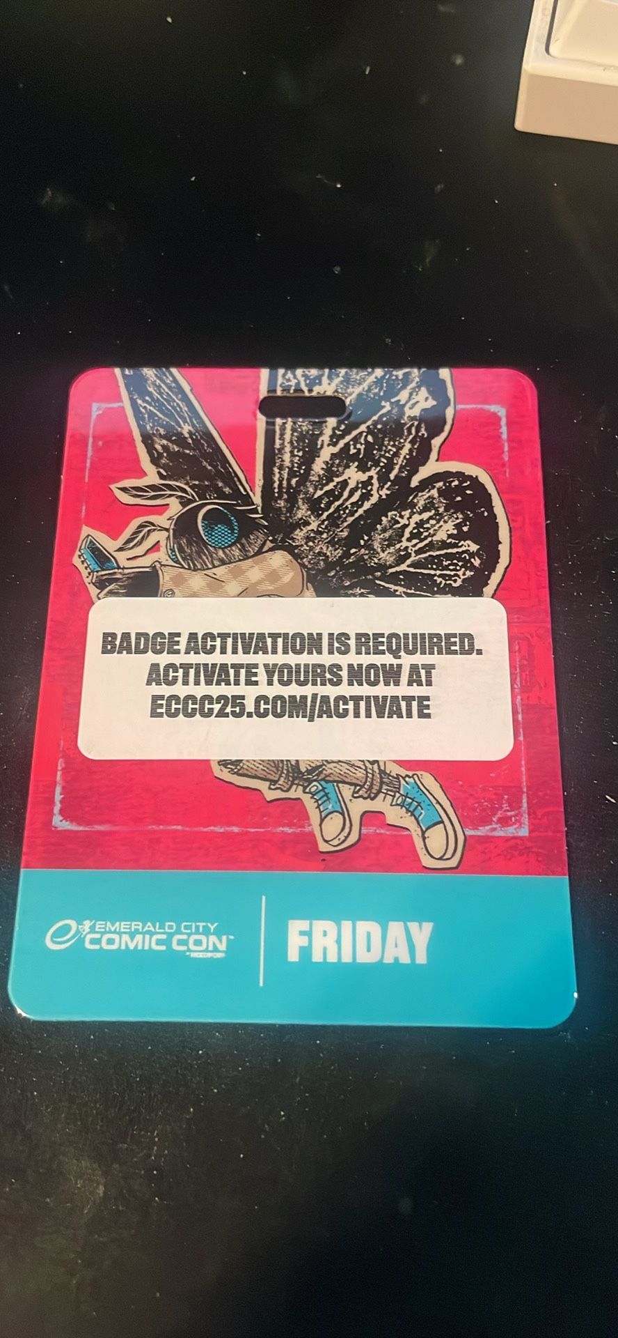 ECCC Friday Ticket