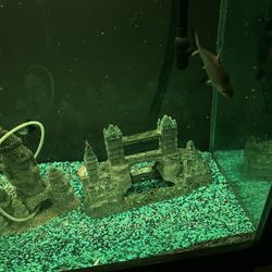 Fish Tank