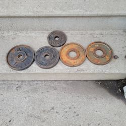 5- STEEL 2" WEIGHTS 