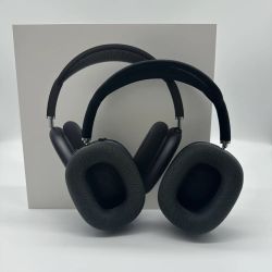 Apple Metal AirPods Max with Holes USB-C