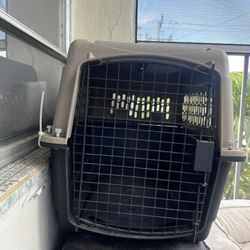 Dog Travel Crate