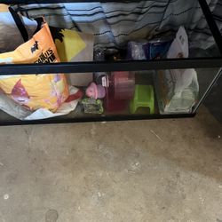 Hamster Home With Accessories 