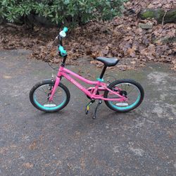 Guardian Pink 14 Inch Bike With Aqua Grips And Bell