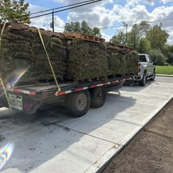 Grass Sod 