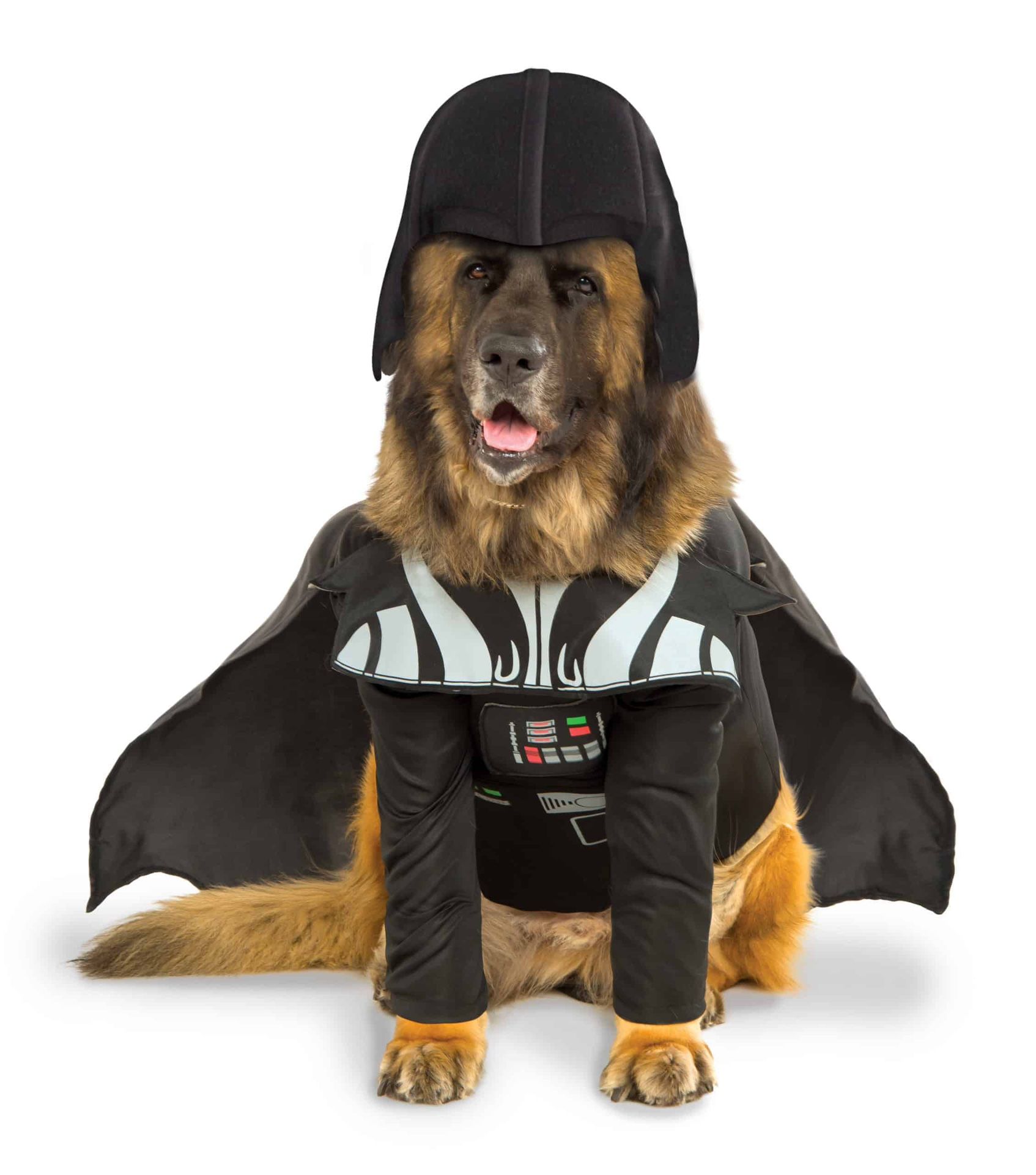 Darth Vader dog costume XXL