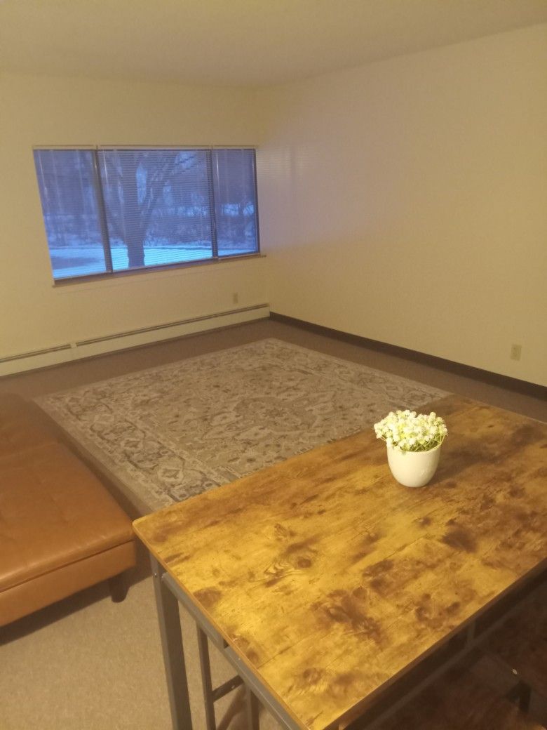 Elegant Nourison French Concerto 8x10 Area Rug