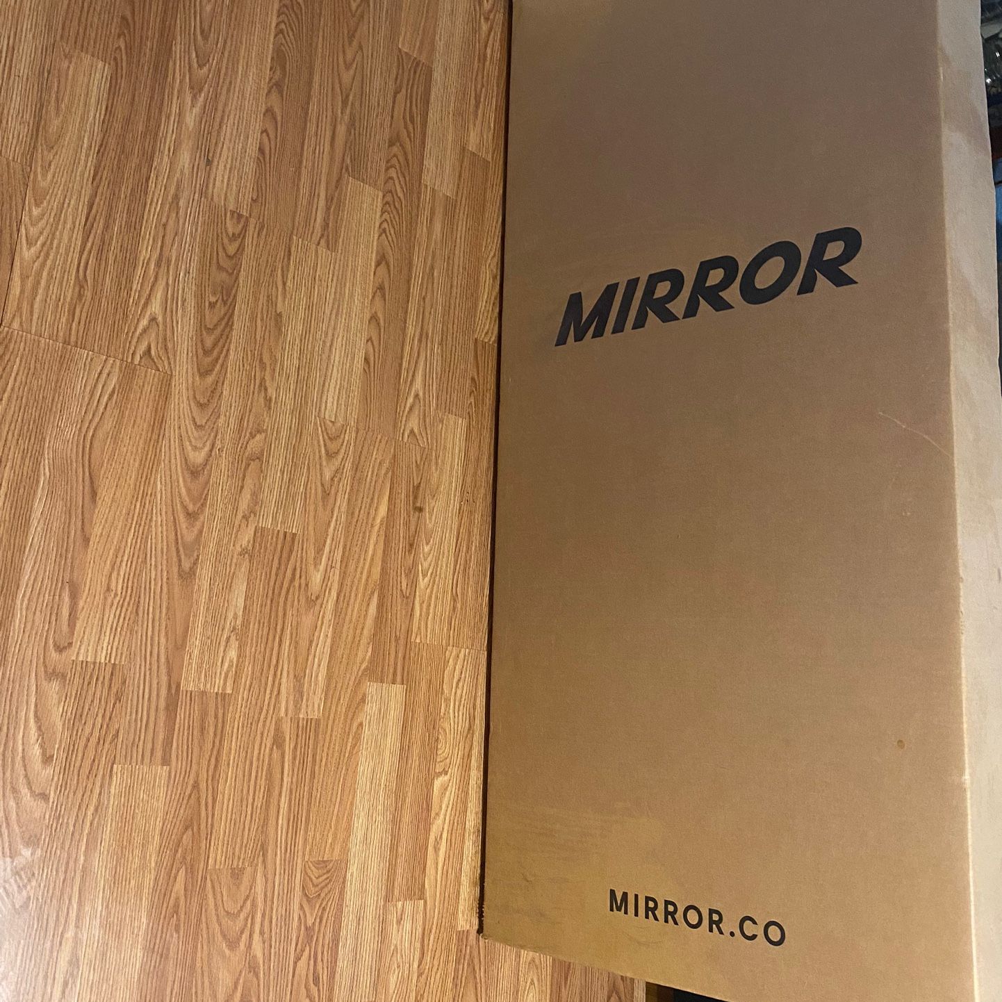 Exercise Mirror 