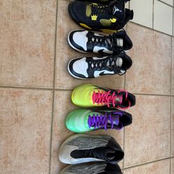 Basketball/Lifestyle Sneakers