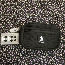 Disneyland bag