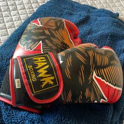 Hawk boxing gloves🦅