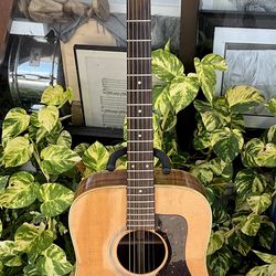 Aria Pro ll PW55 1970s Acoustic Guitar 