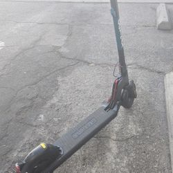 GoTrax Scooter