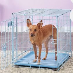 Light Blue Dog Crate 24” Collapsible Single Door with Tray