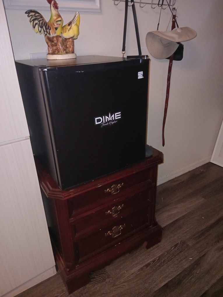 Mini Fridge
